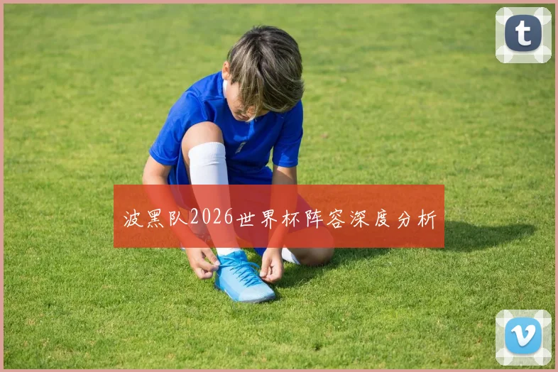 波黑队2026世界杯阵容深度分析