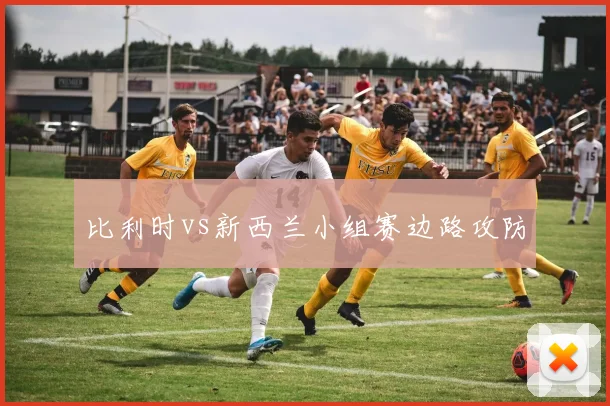 比利时vs新西兰小组赛边路攻防