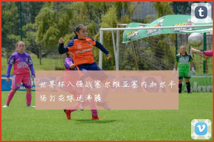 世界杯八强战塞尔维亚塞内加尔半场打花球迷沸腾