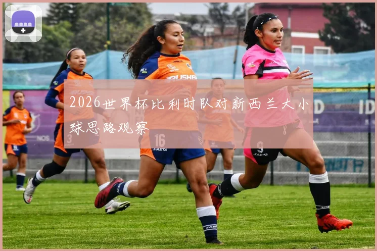 2026世界杯比利时队对新西兰大小球思路观察