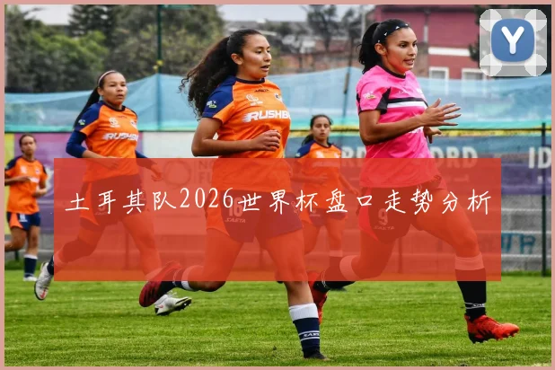 土耳其队2026世界杯盘口走势分析