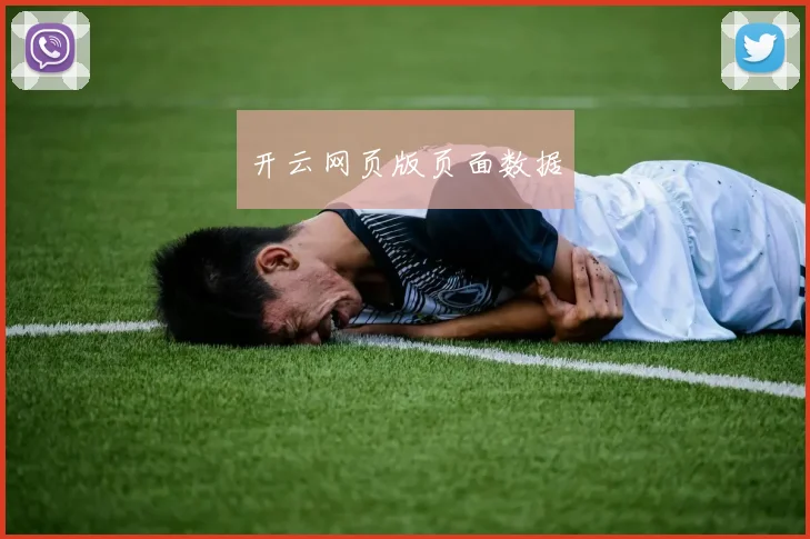 开云网页版页面数据