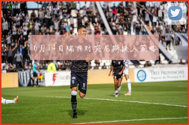 6月14日瑞典对突尼斯换人策略
