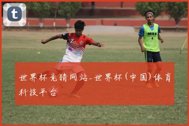 世界杯竞猜网站_世界杯(中国)体育科技平台