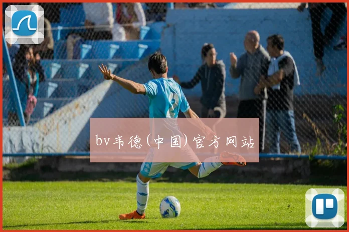 bv韦德(中国)官方网站