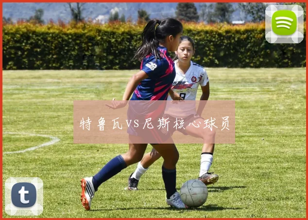 特鲁瓦vs尼斯核心球员