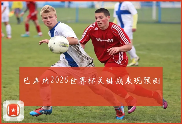 巴库纳2026世界杯关键战表现预测