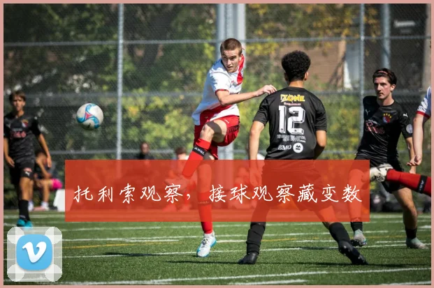 托利索观察,接球观察藏变数